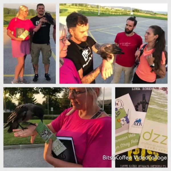 WITH ‘LYNX’ ON LIFE IN THE WILD