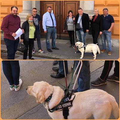 The Greens of Slovenia & Party of Youth