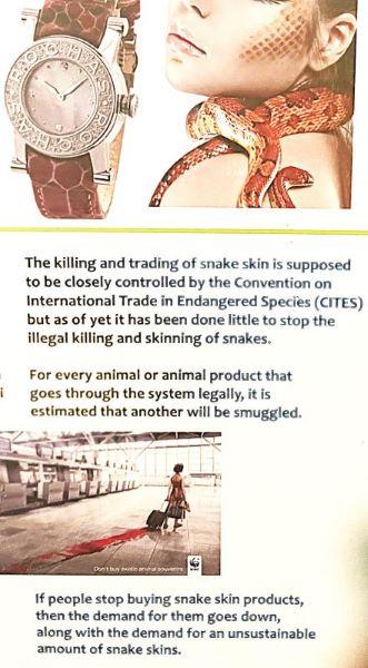 Source; Alion Institute (Exhibicion,  Ales Mlinar )