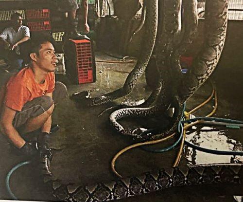 Source: Alion Institute (Exhibition  Ales Mlinar )